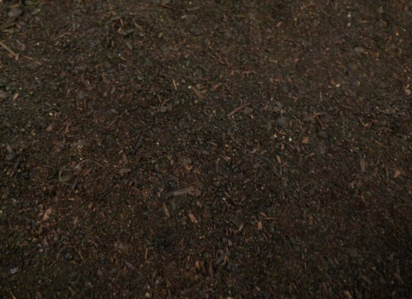 Compost
