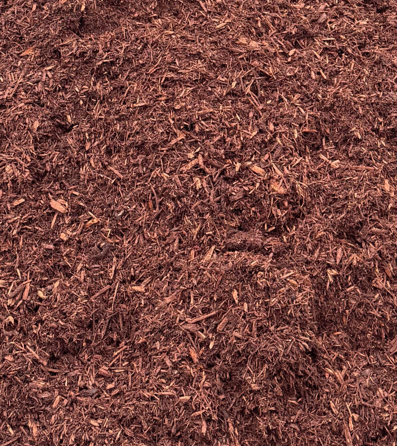Hemlock Mulch