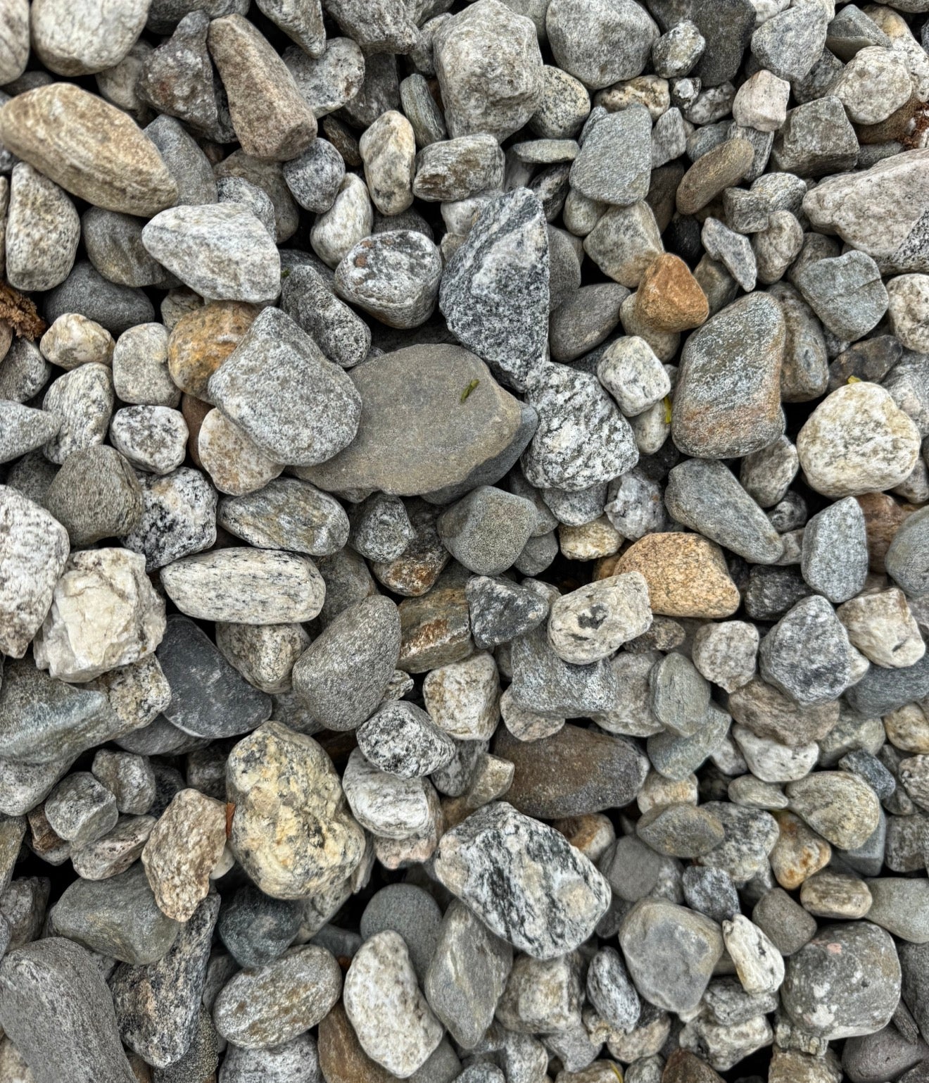 1.5” Natural River Rounds